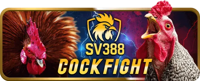 Chiến lược chơi Slot và Bắn cá CS88 Code